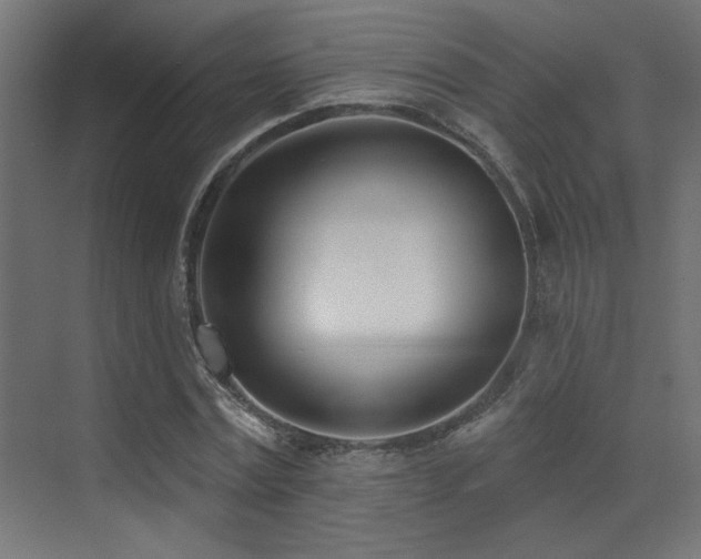 X0000073460779200607281246