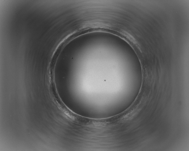 X0000073460782200607281246