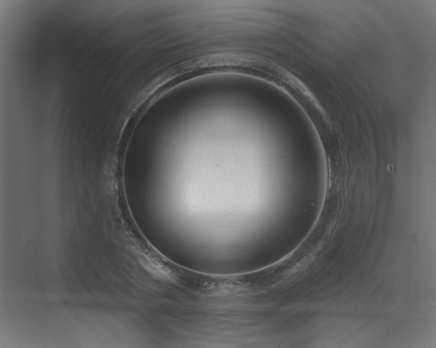 X0000073460786200607281246