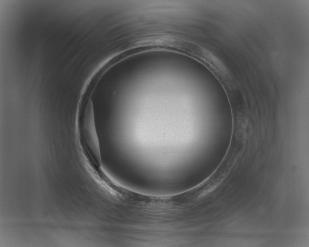 X0000073460788200607281246