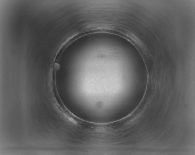 X0000073460790200607281246