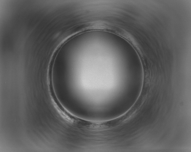 X0000073460795200607281246
