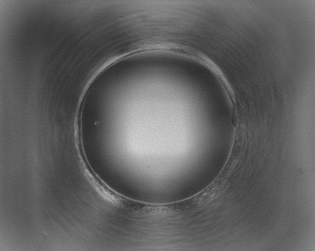X0000073460811200607281245