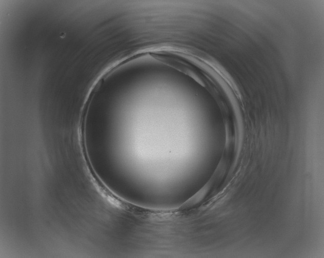 X0000073460813200607281245