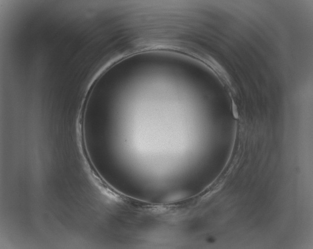 X0000073460814200607281245