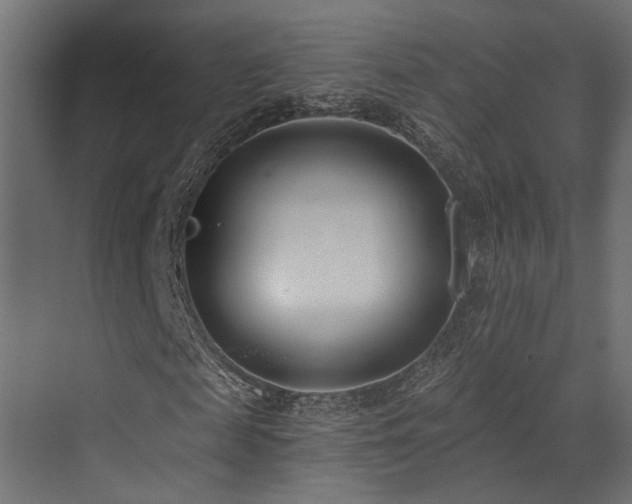 X0000073460817200607281244