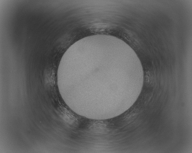 X0000073460820200607281245