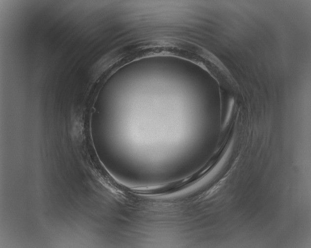 X0000073460826200607281245