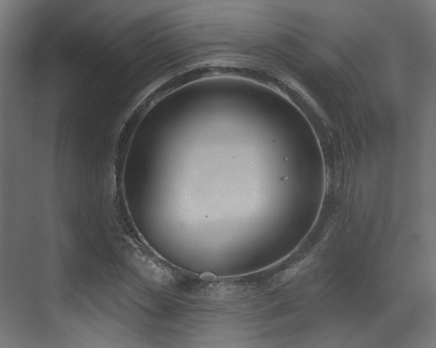 X0000073460829200607281245