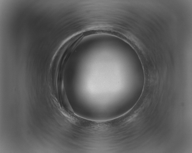 X0000073460830200607281245