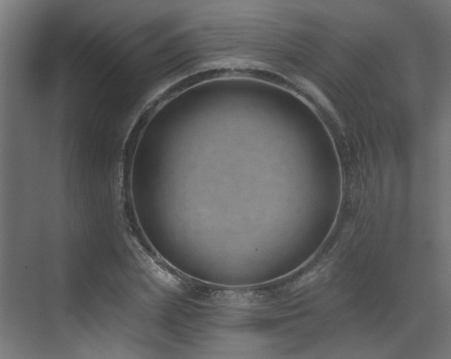 X0000073460831200607281245