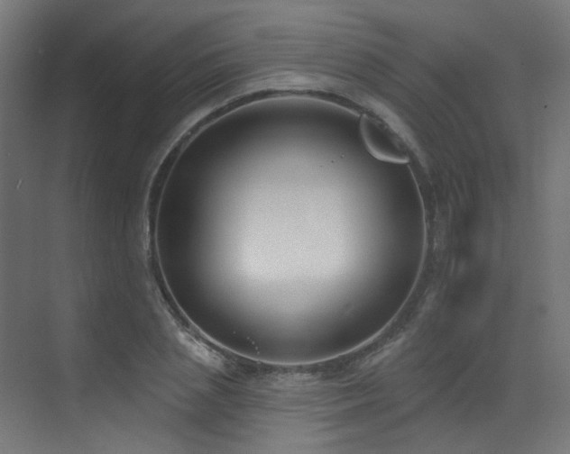 X0000073460837200607281245