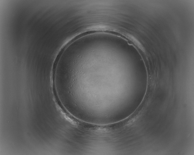 X0000073460839200607281245