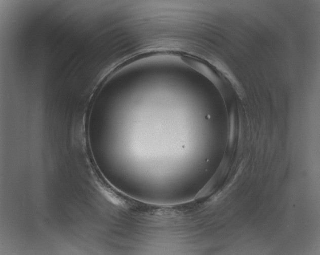 X0000073460842200607281245
