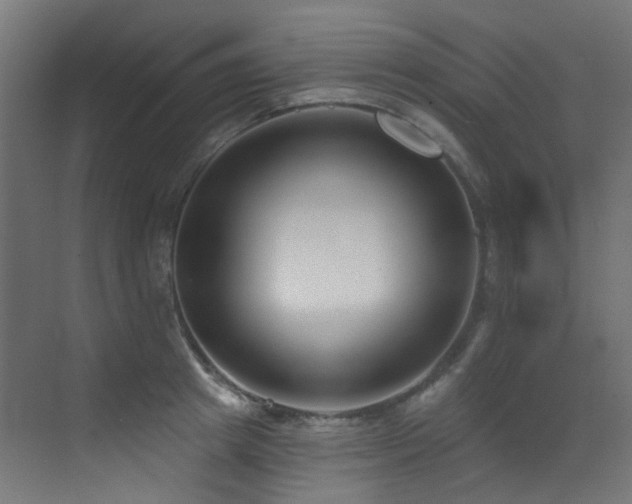 X0000073460849200607281245