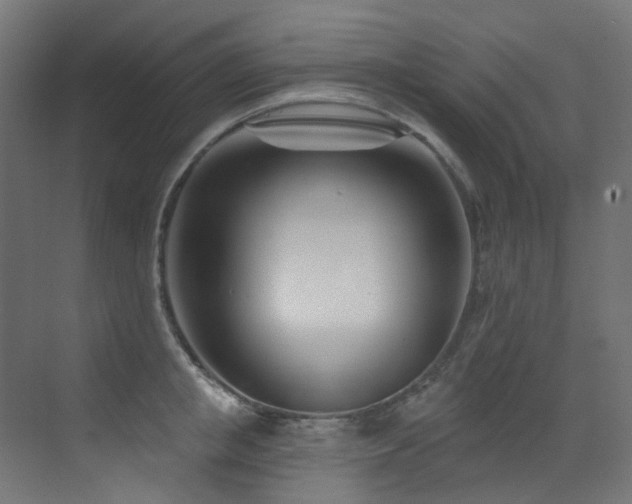 X0000073460853200607281245