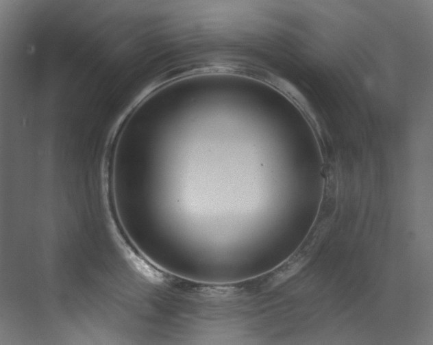 X0000073460859200607281245