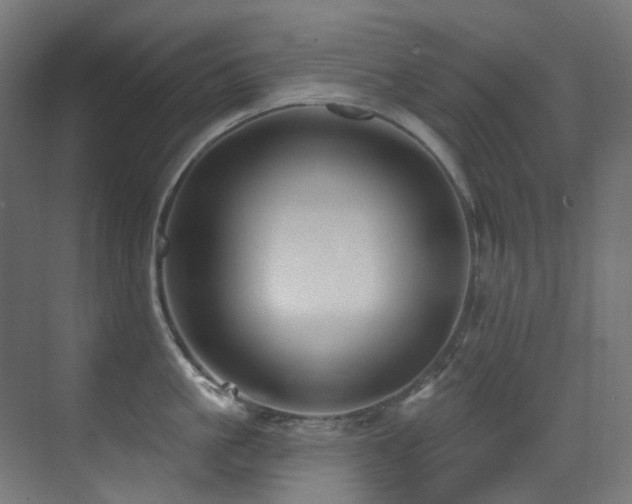 X0000073460861200607281245