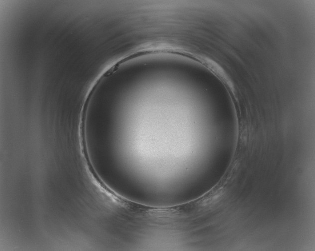 X0000073460863200607281245