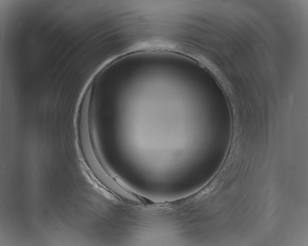 X0000073460864200607281245