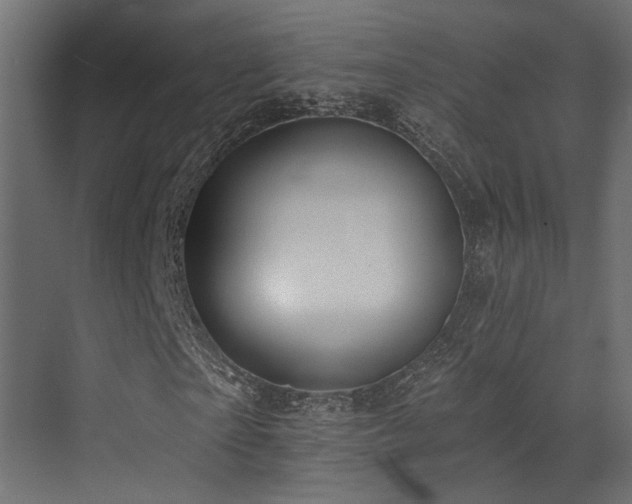 X0000073460865200607281244