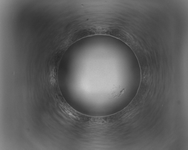 X0000073460866200607281244