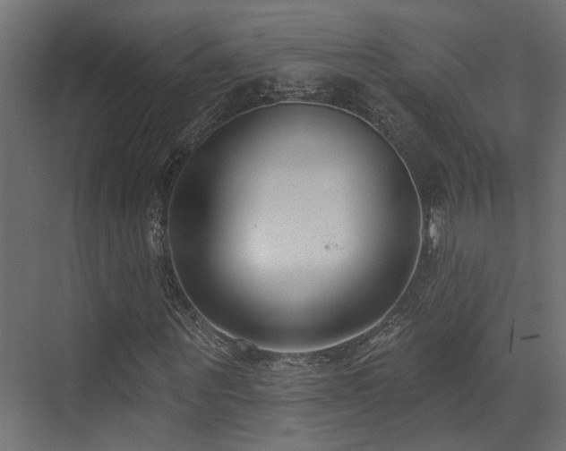 X0000073460867200607281244