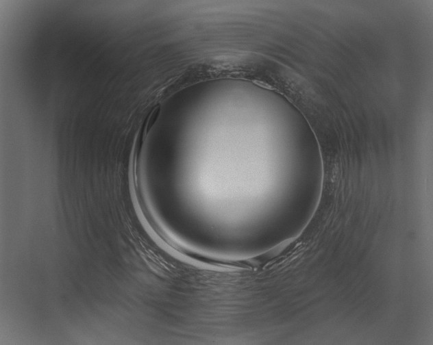 X0000073460868200607281244