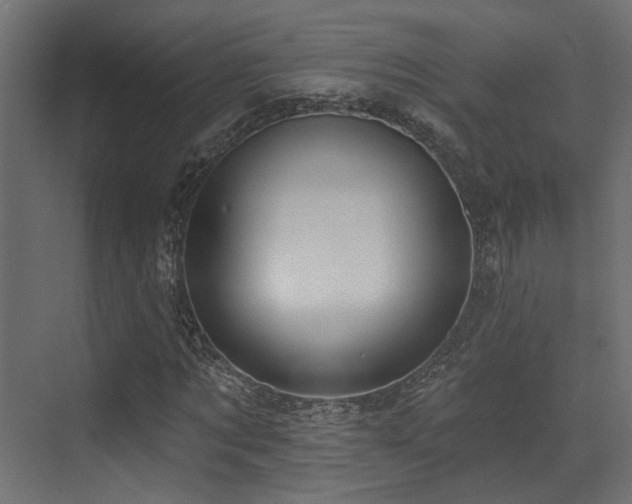 X0000073460869200607281244