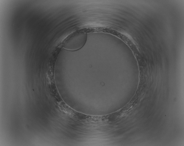 X0000073460871200607281244