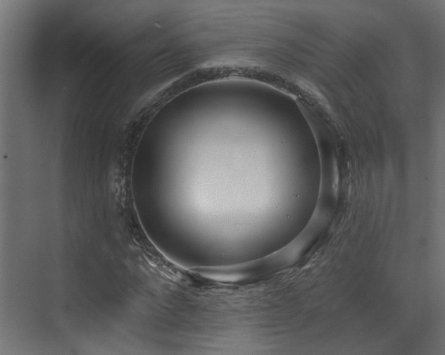 X0000073460872200607281244