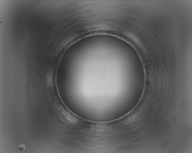 X0000073460873200607281244