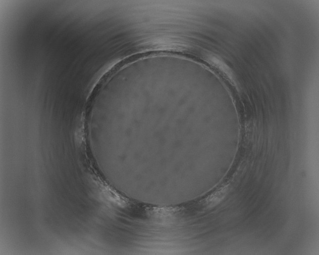 X0000073460875200607281244