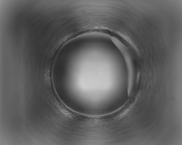 X0000073460881200607281244