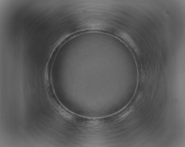 X0000073460883200607281244