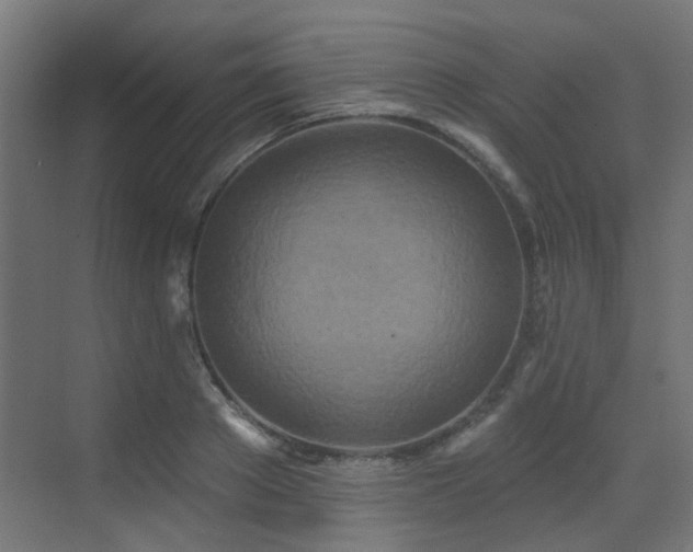 X0000073460889200607281244