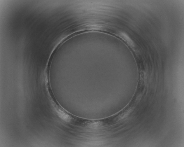 X0000073460891200607281244