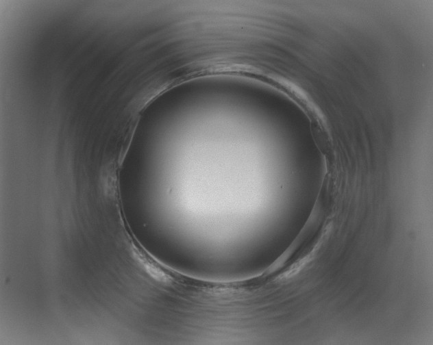 X0000073460897200607281244