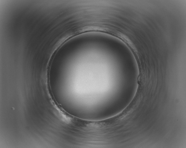 X0000073460898200607281244