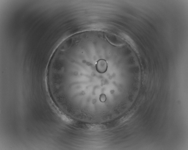 X0000073460899200607281244