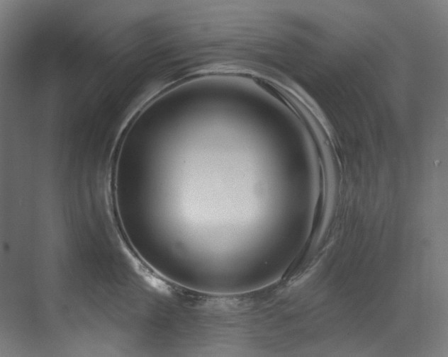 X0000073460909200607281244