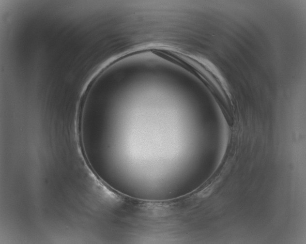 X0000073460910200607281244