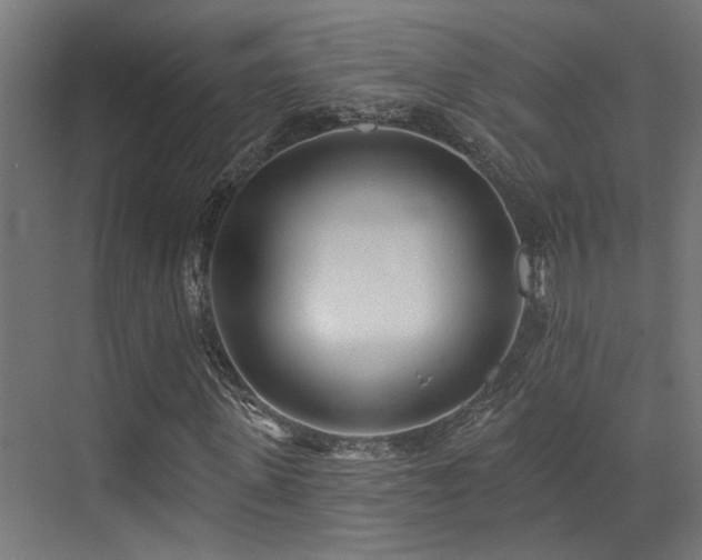 X0000073460915200607281243