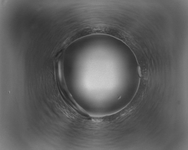 X0000073460916200607281243