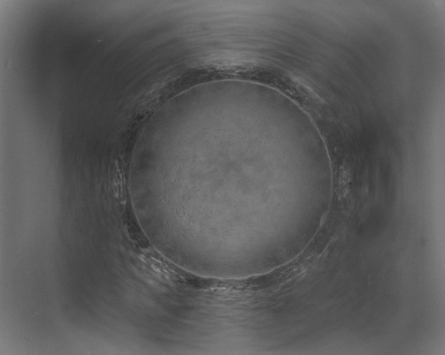 X0000073460917200607281243