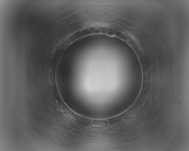 X0000073460919200607281243