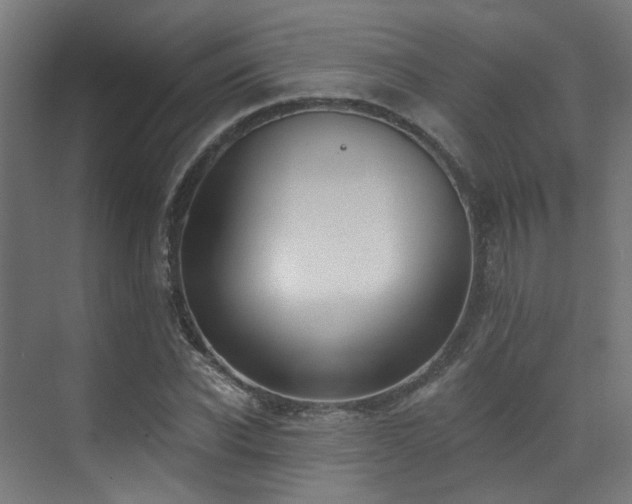 X0000073460926200607281243