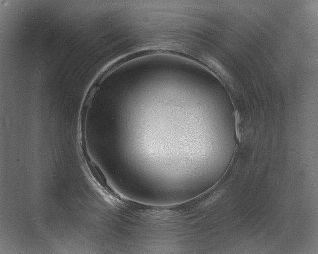 X0000073460940200607281243