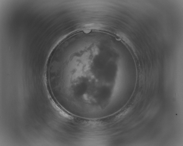 X0000073460941200607281243