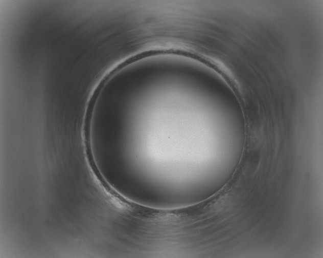 X0000073460943200607281243